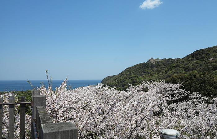 淡路島 曲田山からの洲本城