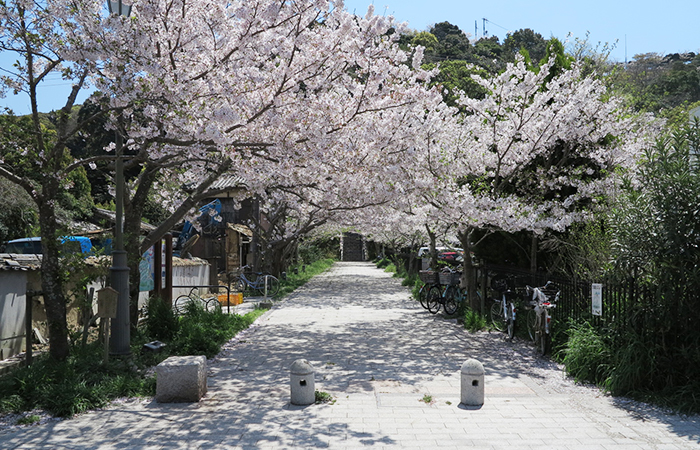 曲田山公園の入り口