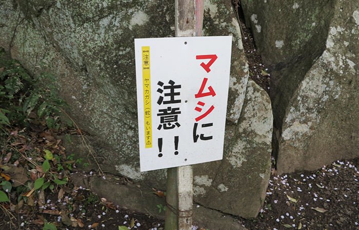 曲田山のマムシに注意の看板