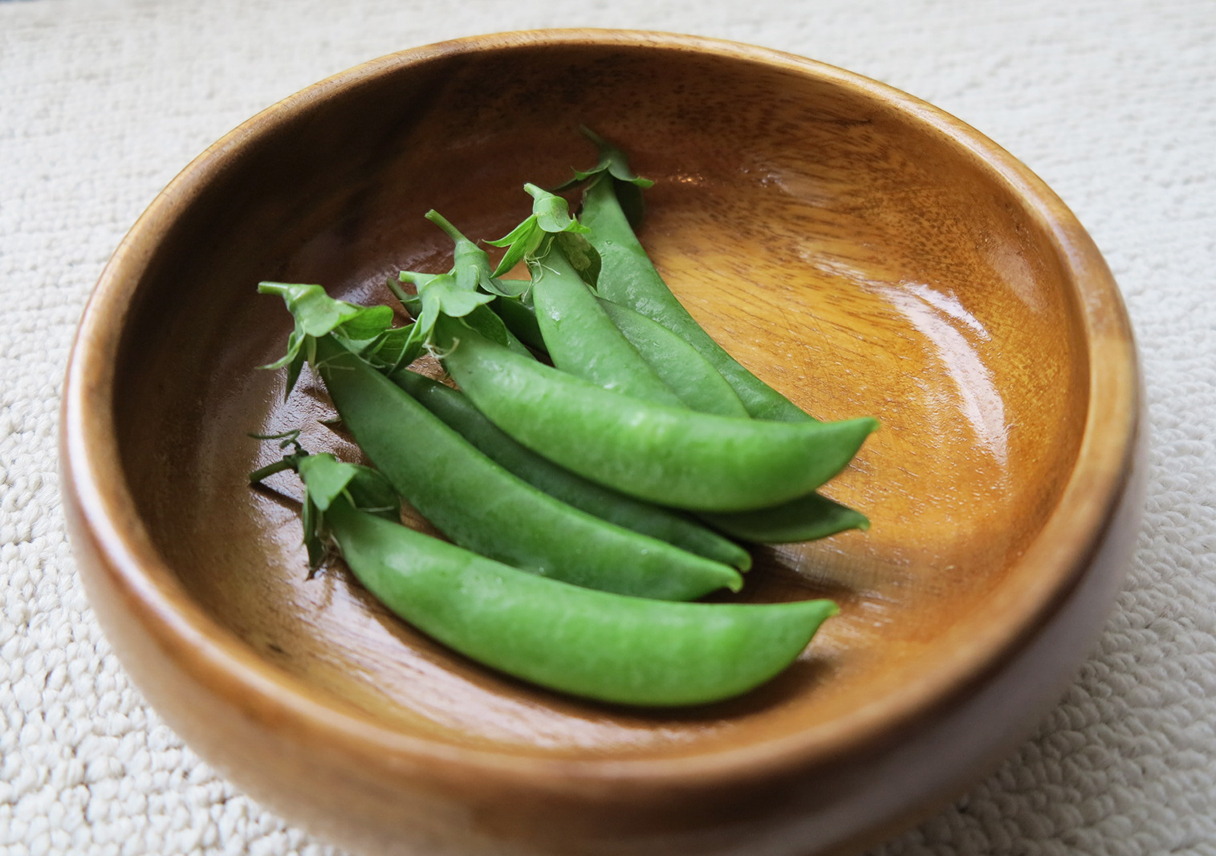 スナップエンドウを初収穫しました