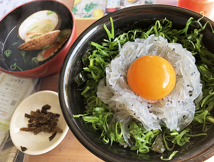 淡路島 新島水産 生しらす丼