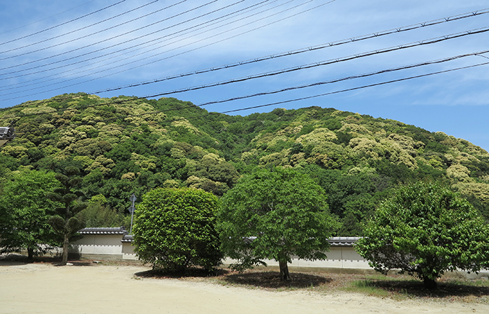 淡路島　薬師庵からの風景