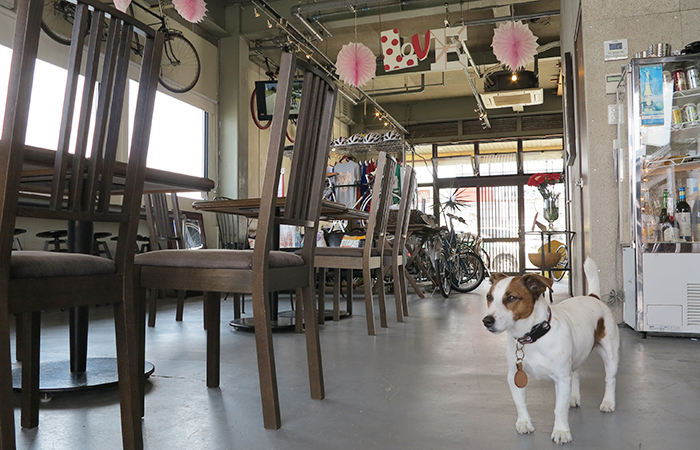 チルコロの平蔵店長（内勤） 淡路島カフェ