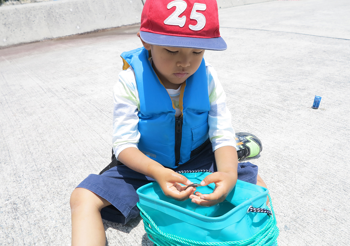 ファミリーフィッシングのメッカ炬口で、豆アジ釣りを楽しんだよ