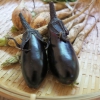 ナス