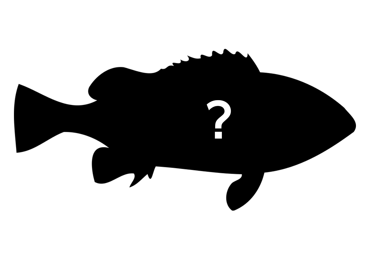 「逃した魚は大きい」の意味を痛感しました。。