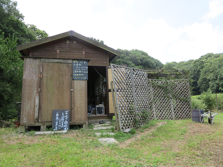 ブルーベリー農園の小屋