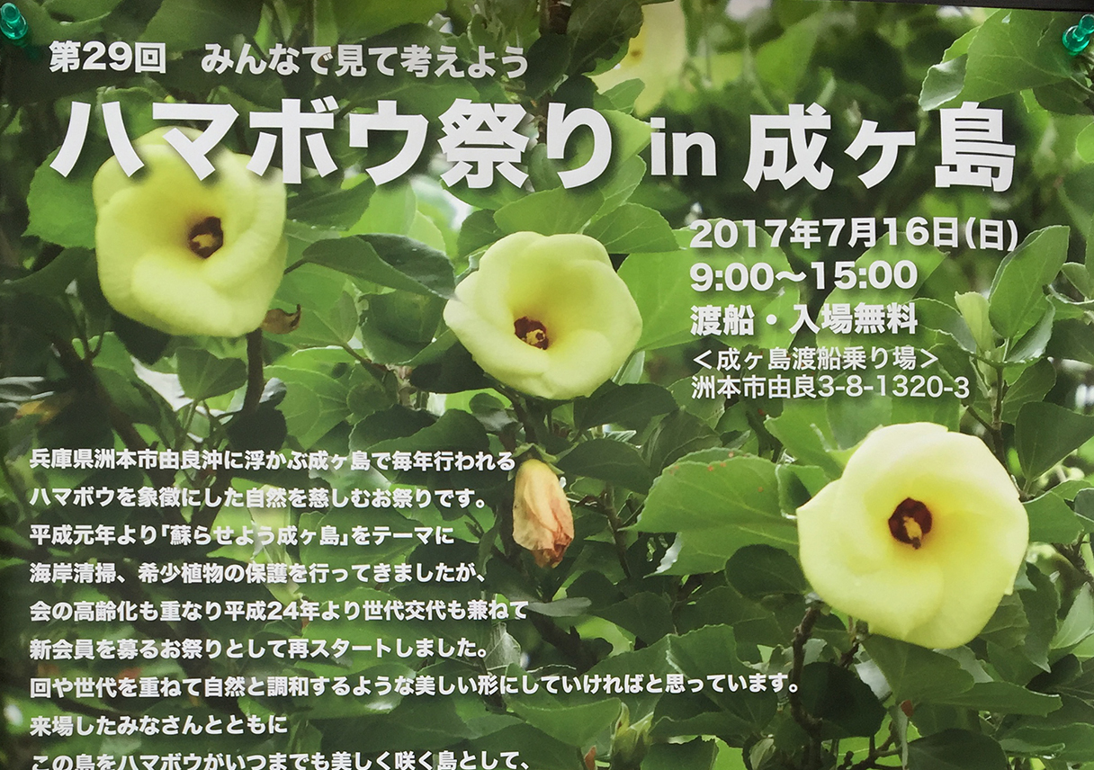 7月16日（日）「第29回 ハマボウ祭り in 成ヶ島」に参加予定