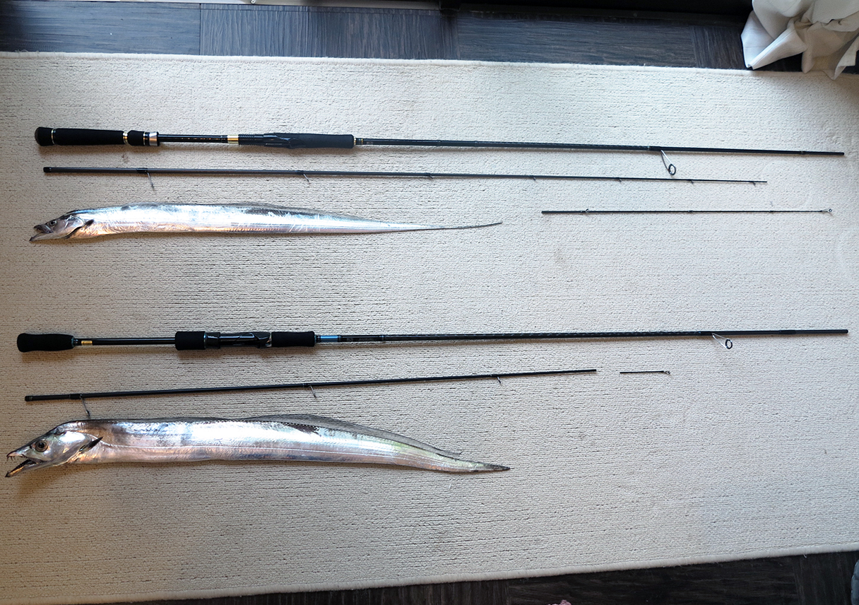 竿を2本も折ってしまった。。高いタチウオになってもうたー（泣）