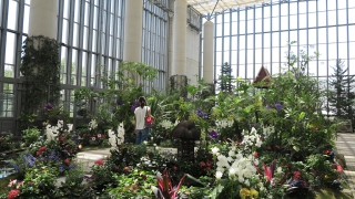 奇跡の星の植物館