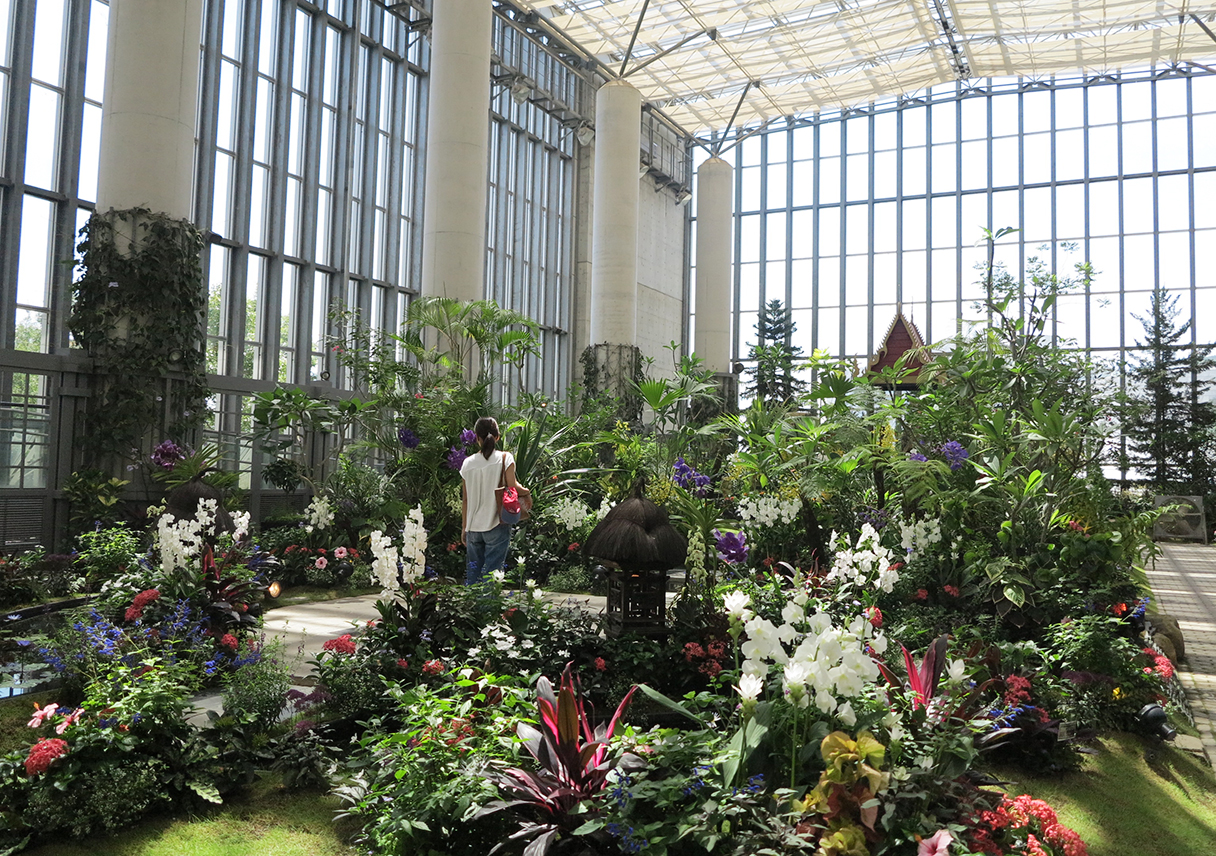 淡路夢舞台「奇跡の星の植物館」を観光してきたよー😁