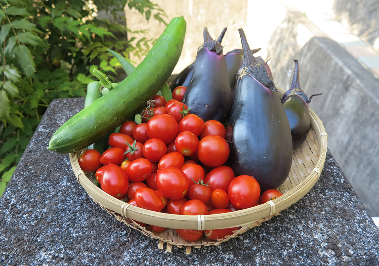 野菜モリモリ