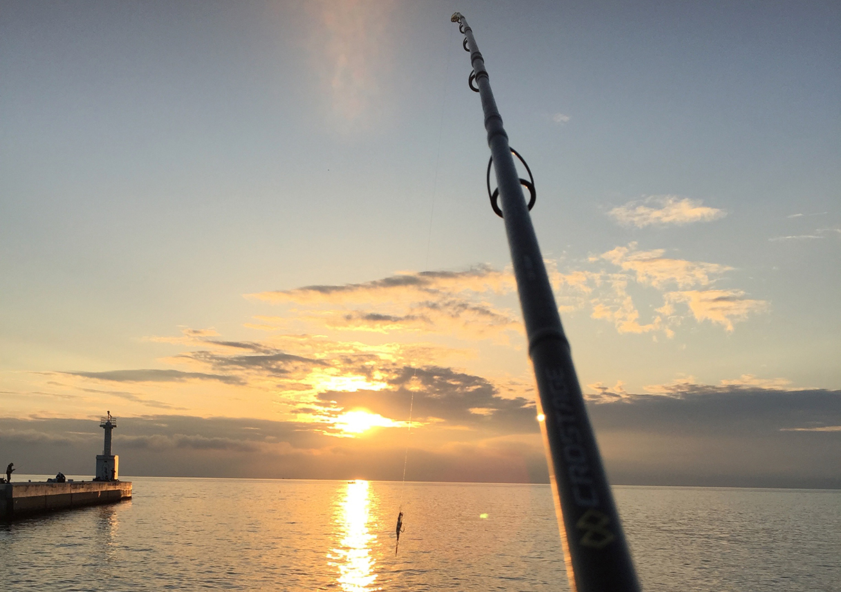 淡路島・志筑で、タチウオのボイルを初めて見た
