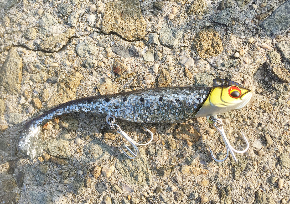 じゃのひれでヒラメが釣れているらしいので行ってみた