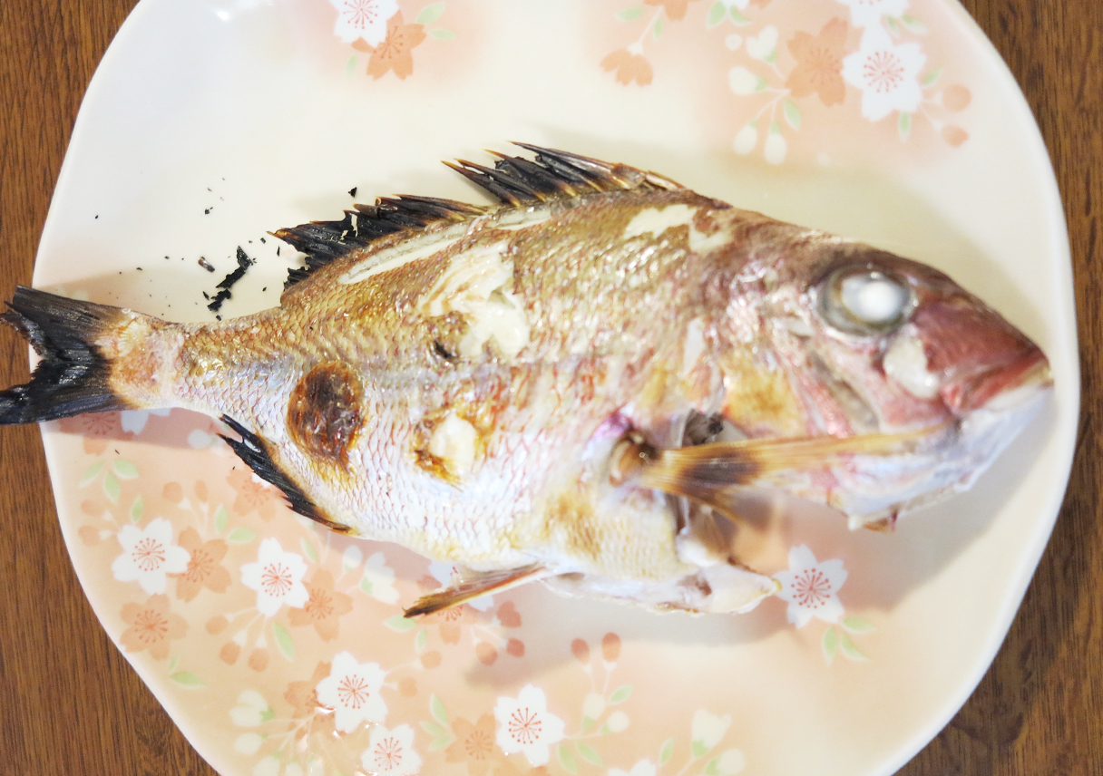 福良の波よけブロックの上で、初めての飲ませ釣りに挑戦