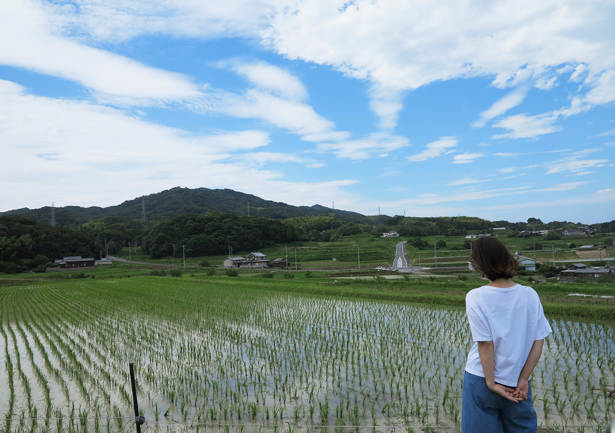 朝から田んぼ。しかし、今日の淡路島の空は抜けてたわー