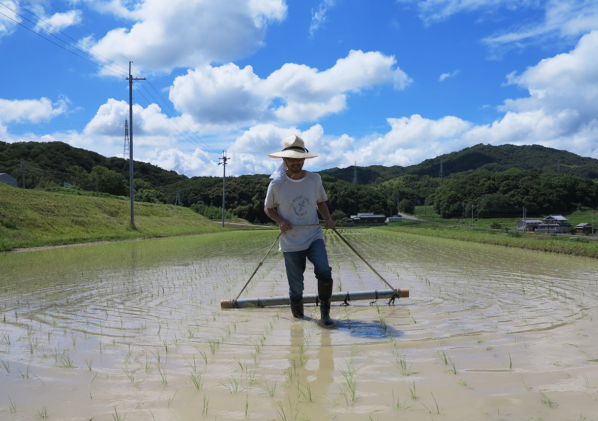 淡路島・鮎原米づくり2018 #04|最強長靴でチェーンを引いて雑草抜き