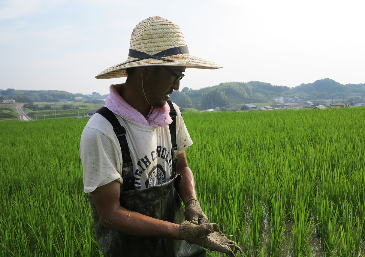 淡路島・鮎原米づくり2018 #11|孤独な草引きは、2時間が限界説