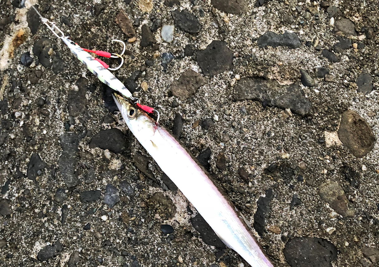 淡路島・塩田新島の北側波止は、今の時期、釣り人が多いので週末は注意