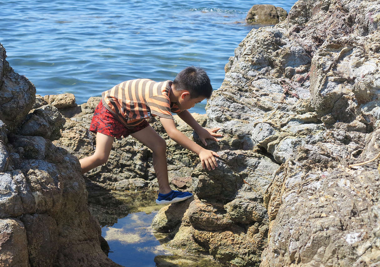 磯遊びの穴場スポット 淡路島 阿那賀公園 南あわじ市 で小一時間遊ぼう 磯遊びの穴場スポット 淡路島 阿那賀公園 南あわじ市 で小一時間遊ぼう