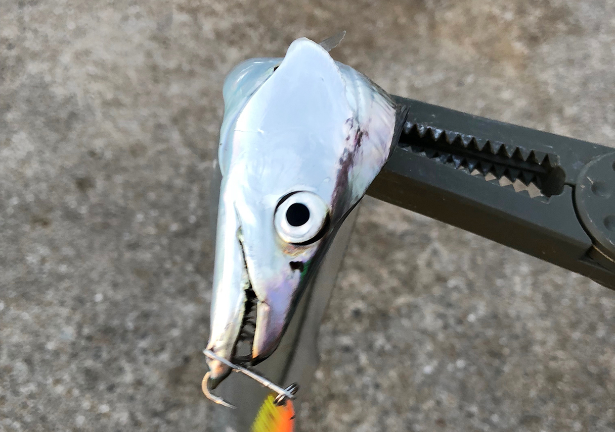 淡路島・生穂でタチウオ狙いも、全くダメ・・