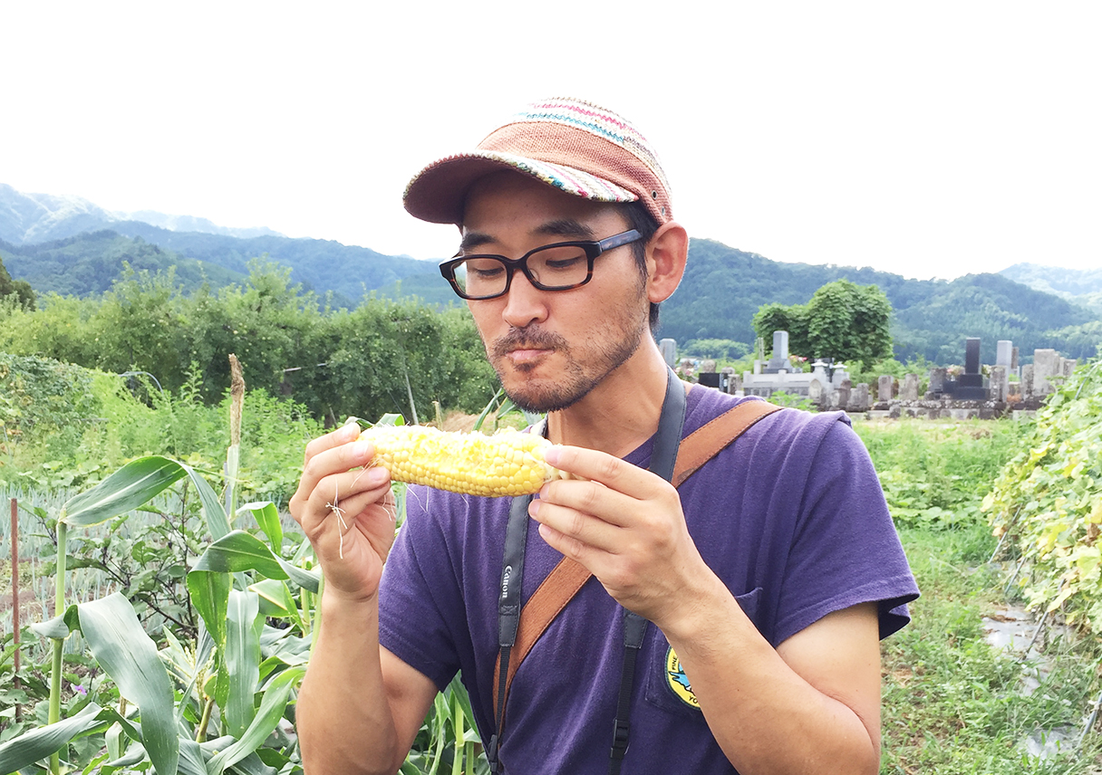 生でトウモロコシを食べる