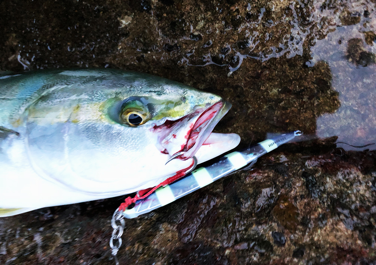 明石海峡大橋の下。激流で大物を狙うも、竿が割れちゃったー😵