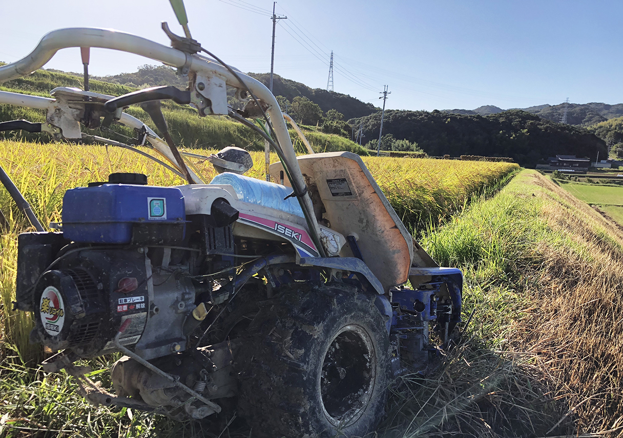 淡路島・鮎原米づくり2018 #18|台風24号がくる前に、いざ収穫!!・・・・できず😭