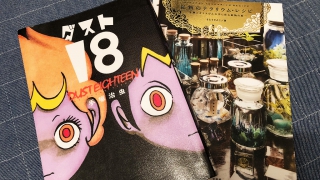 ダスト18