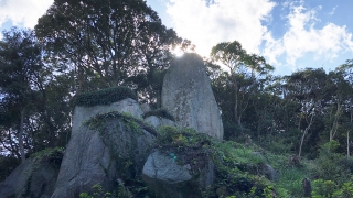 岩上神社の神籠石（ひもろぎいし）