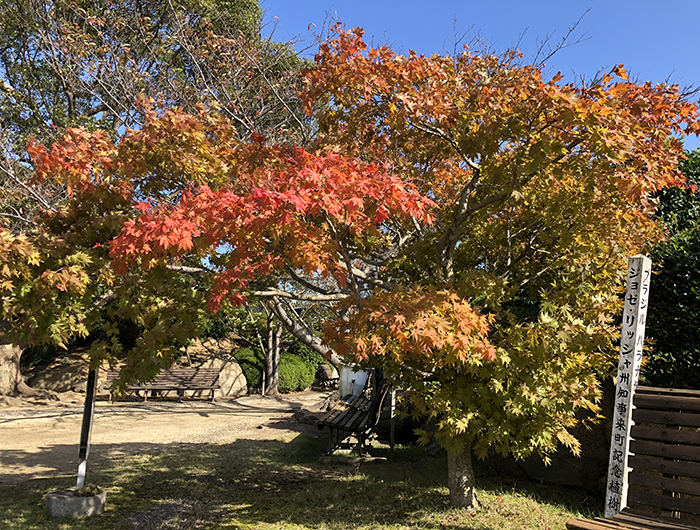 静の里公園