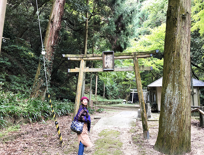 浅野公園 不動の滝