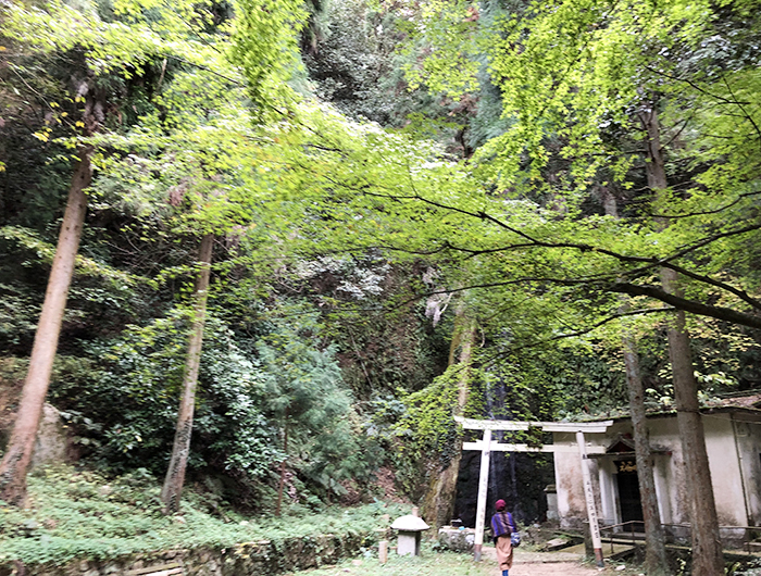 浅野公園 不動の滝