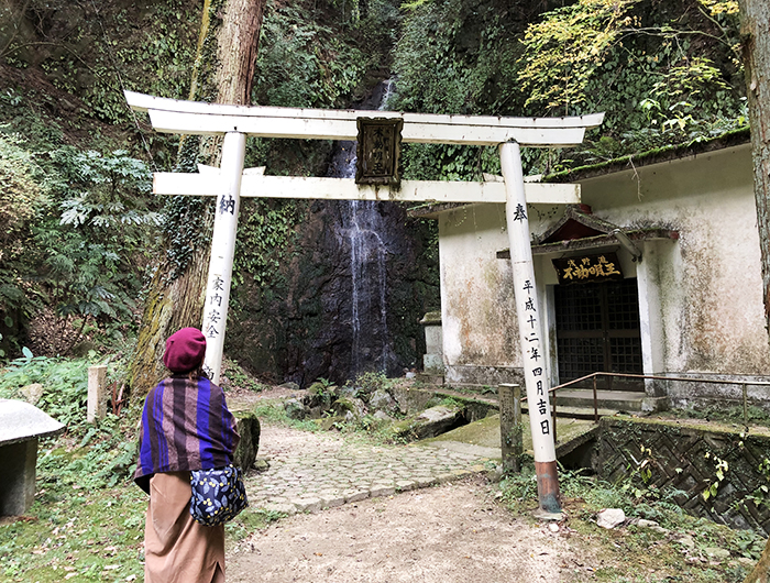 今度こそ紅葉がみたい!「浅野公園」不動の滝に足を運びました😆
