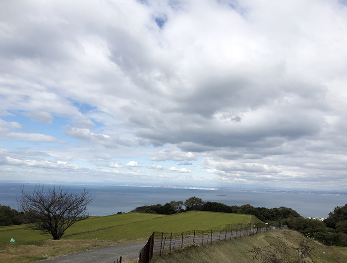 浅野公園の下から西浦を撮影