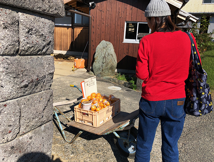 宝生寺　途中のみかん