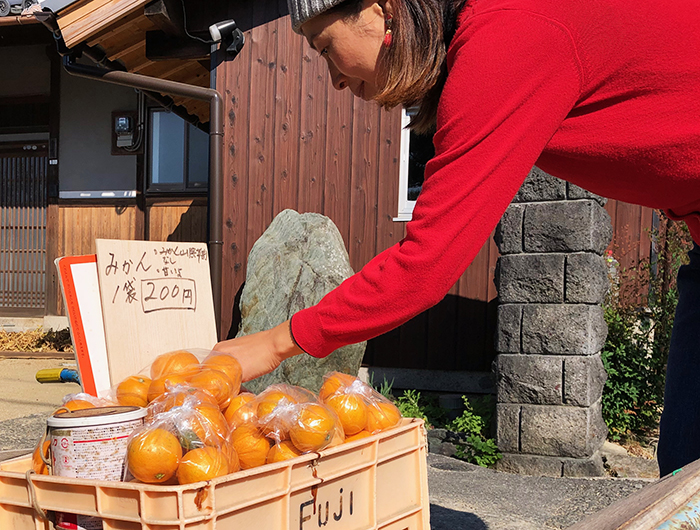 宝生寺　途中のみかん