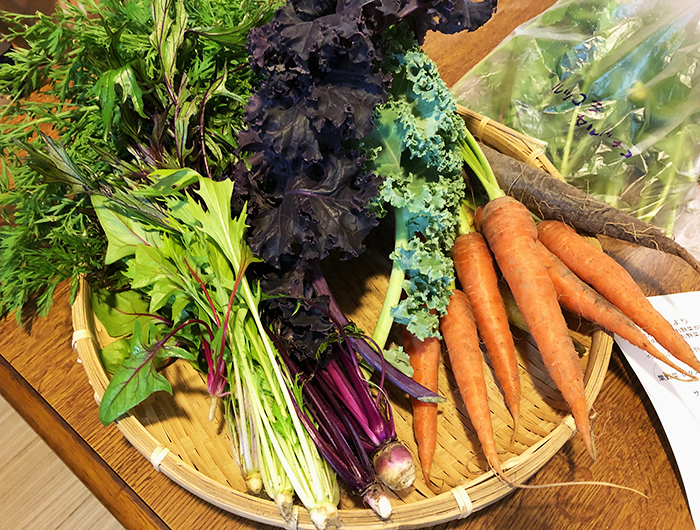 淡路島ファーム「太陽と海」で、無農薬の新鮮野菜ゲット！旬の野菜はやっぱり美味しいね😆