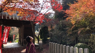 東山寺