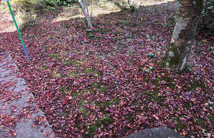 東山寺