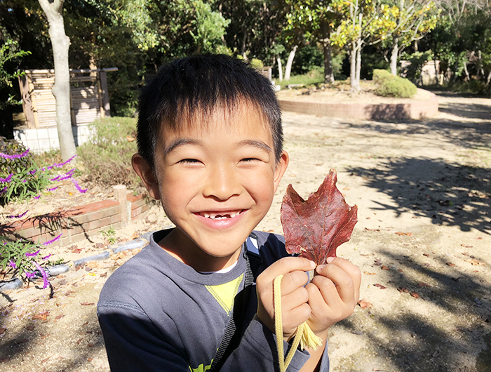 ハーブの種類は20以上。淡路市立「香りの公園」の秋は、観光客にほんのり優しい匂いを届けていました