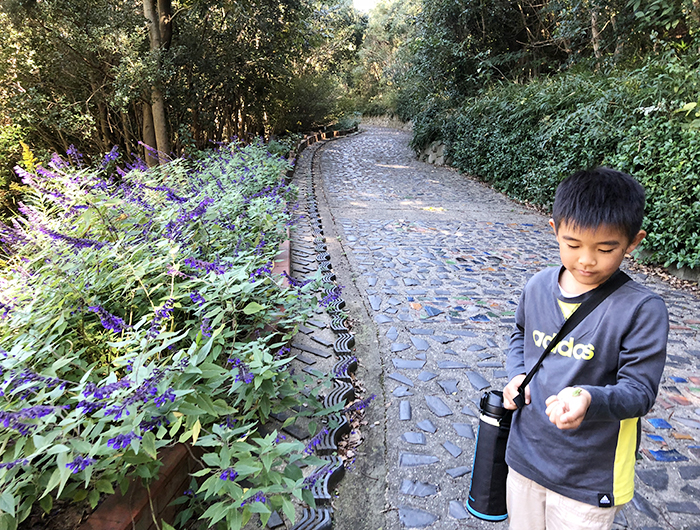 香りの公園