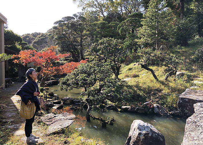 護国寺の日本庭園