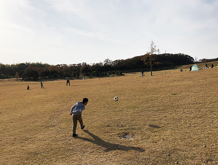 淡路島公園の芝生広場