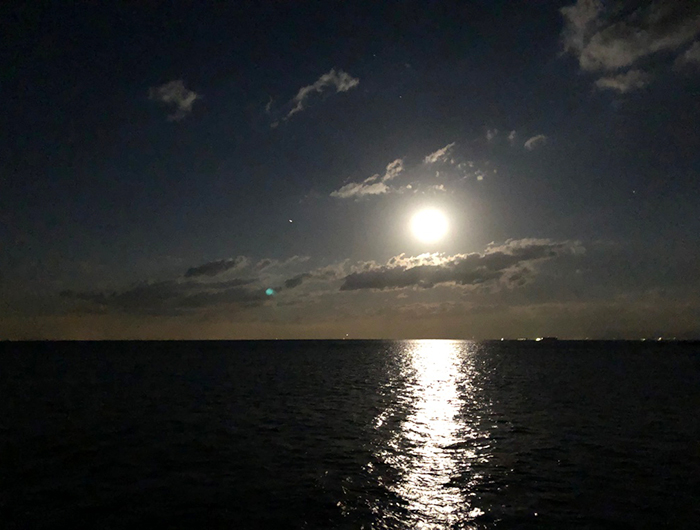 淡路島の海と満月