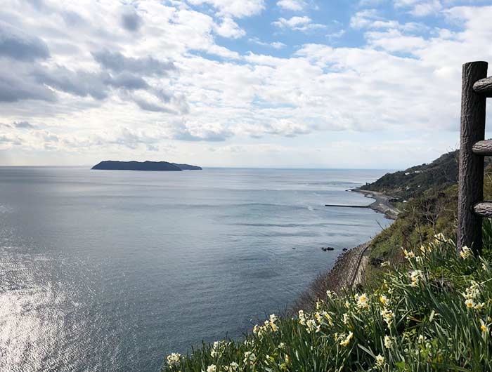 淡路島 灘黒岩水仙卿 沼島