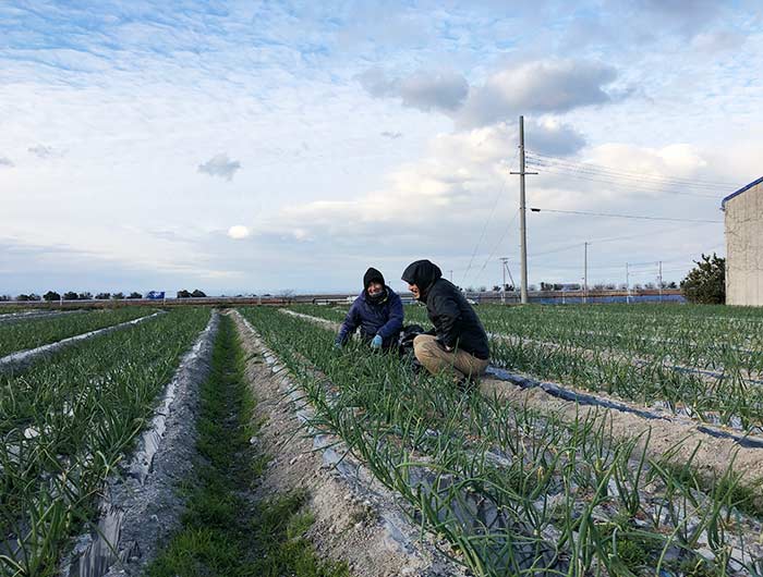 大変でも自然農法にこだわる「大村農園」で、草引きのお手伝いをしてきました😁