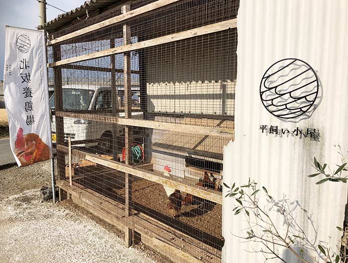 北坂養鶏場 平飼い小屋