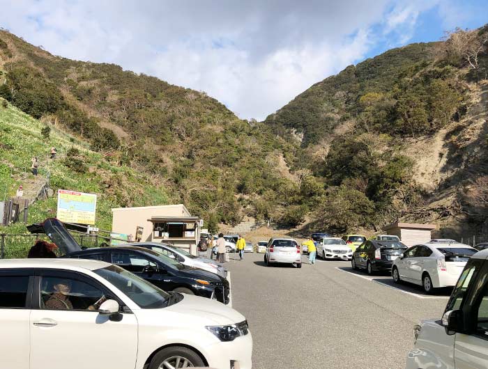 淡路島 灘黒岩水仙卿