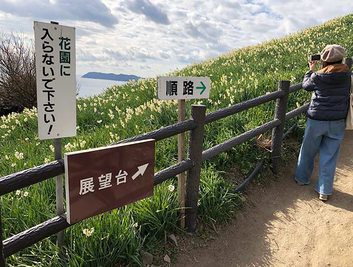 淡路島 灘黒岩水仙卿